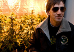 Pot entrepreneur Richard Lee envisions a professional marijuana industry much like the one that exists in Amsterdam.